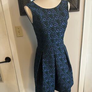 Brooks Brothers red fleece  Blue and Black Floral Dress